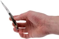 Laguiole En Aubrac Pocket Knife 7 Cm Horn, L0207PCI-SSI1 -Knives Store AUL0207PCI SSI1 08 laguiole en aubrac aul0207pci ssi1 08