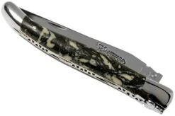 Laguiole En Aubrac 12cm Organique L0212B1I/FSI1 Laguiole Knife -Knives Store AUL0212B1I FSI1 04 laguiole en aubrac