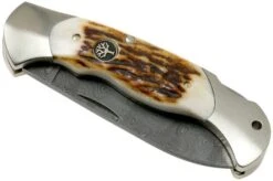 Böker Scout Spearpoint Stag Damascus 112201DAM Stag Horn, Pocket Knife -Knives Store BO112201DAM 04 boker