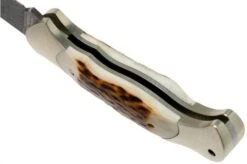 Böker Scout Spearpoint Stag Damascus 112201DAM Stag Horn, Pocket Knife -Knives Store BO112201DAM 05 boker