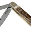 Böker Enigma Stag Horn 113031 Pocket Knife
