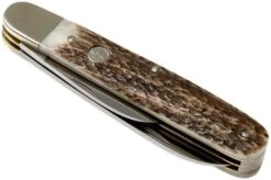 Böker Enigma Stag Horn 113031 Pocket Knife -Knives Store BO113031 04 boker