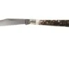Böker Delicate Stag 119955 Pocket Knife