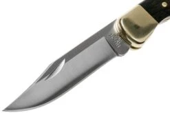 Buck 110 Folding Hunter, With Finger Grooves -Knives Store BUCK0110BRSFG B 03 buck v201907