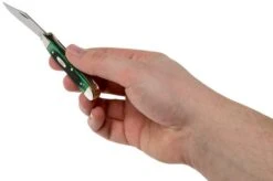 Case Peanut Hunter Green Bone, Sawcut, 27663, 6220 SS Pocket Knife -Knives Store CE27663 05 case