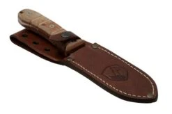 Condor Tactical P.A.S.S. Chute Knife, Fixed Knife -Knives Store CTK1827 105 4C 06 condor