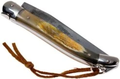 Forge De Laguiole 12110INCABDF, Aubrac-horn -Knives Store LA12110INCABDF 04 forge de laguiole la12110incabdf 04