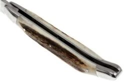 Forge De Laguiole 11cm Deer Horn 1211INCFBRI -Knives Store LA1211INCFBRI 05 forge de laguiole la1211incfbri 05