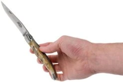 Forge De Laguiole 12 Cm 1212INBESAT Ram's Horn Laguiole Knife 15 Forge De Laguiole 12 Cm 1212INBESAT Ram's Horn Laguiole Knife -Knives Store LA1212INBESAT 08 forge de laguiole