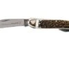 Robert Klaas Classic Line 100mm, Real Stag Pocket Knife With Bottle Opener