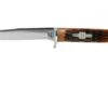 Rough Ryder Small Hunter Amber Bone RR1033 Hunting Knife