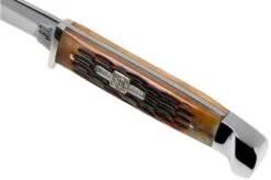 Rough Ryder Small Hunter Amber Bone RR1033 Hunting Knife 11 Rough Ryder Small Hunter Amber Bone RR1033 Hunting Knife -Knives Store RY1033 05 rough ryder