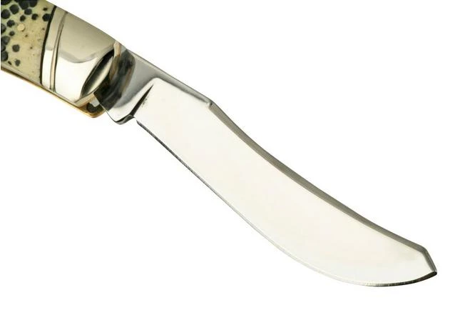 Rough Ryder Buckshot Bone Large Moose, RR2320 Pocket Knife 3 Rough Ryder Buckshot Bone Large Moose, RR2320 Pocket Knife - Image 3