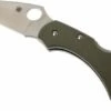 Spyderco Dragonfly Foliage Green G10 C28GPFG Pocket Knife