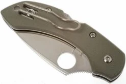 Spyderco Dragonfly Foliage Green G10 C28GPFG Pocket Knife -Knives Store SPC28GPFG 03 spyderco dragonfly2 foliage green spc28gpfg d3