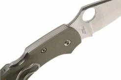 Spyderco Dragonfly Foliage Green G10 C28GPFG Pocket Knife -Knives Store SPC28GPFG 04 spyderco dragonfly2 foliage green spc28gpfg d4