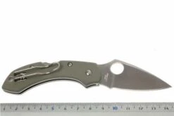 Spyderco Dragonfly Foliage Green G10 C28GPFG Pocket Knife -Knives Store SPC28GPFG 05 spyderco dragonfly2 foliage green spc28gpfg d5
