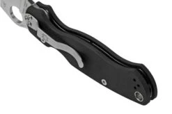 Spyderco Paramilitary 2 C81GP2 Pocket Knife -Knives Store SPC81GP2 04 spyderco 1