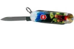 Victorinox Classic SD I Love Hiking Limited Edtion 2020 0-6223-L2002 Swiss Pocket Knife -Knives Store VT0 6223 L2002 03 victorinox