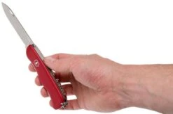 Victorinox Cheese Knife 0.8303.W Swiss Pocket Knife -Knives Store VT0 8303 W 05 victorinox