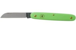 Victorinox Floral Knife 3.9050.47B1 Green