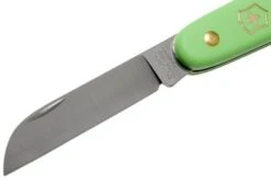 Victorinox Floral Knife 3.9050.47B1 Green -Knives Store VT3 9050 47B1 03 victorinox