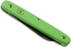Victorinox Floral Knife 3.9050.47B1 Green -Knives Store VT3 9050 47B1 04 victorinox