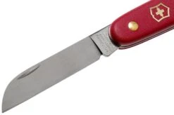 Victorinox Floral Knife 3.9050.B1 Red -Knives Store VT3 9050 B1 03 victorinox
